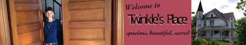 Welcome-to-Twinkle-Place